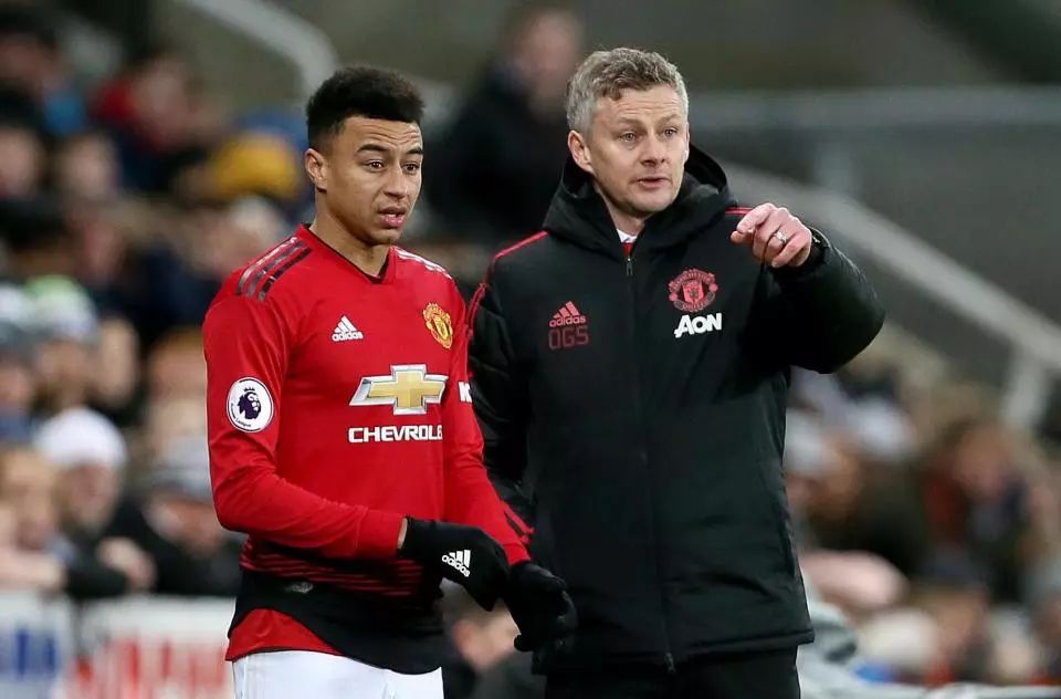 仅是实力的 仅是实力的